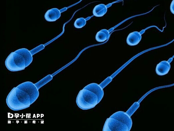 附睾抽吸精子分离术主要治疗男性不孕