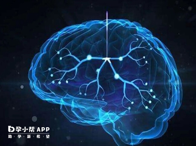 试管婴儿与自然受孕儿童的基因来源相同