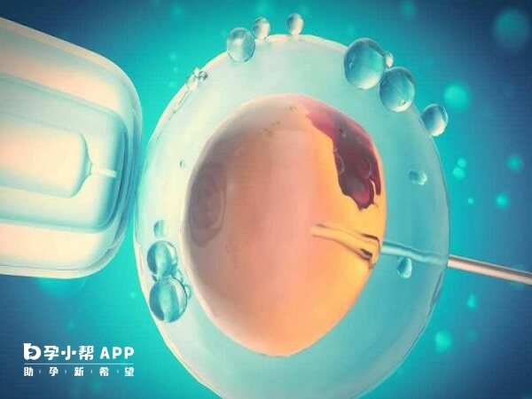 微刺激方案可考虑连续取卵