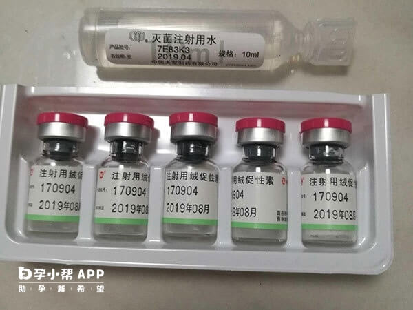 适量注射绒促性素有助于受孕