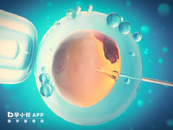 试管婴儿体质弱的说法缺乏科学依据