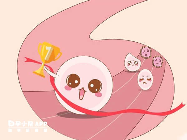 试管婴儿促排过程中可适量注射丽申宝