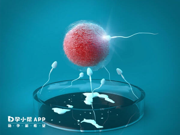 试管人工周期可以转自然周期