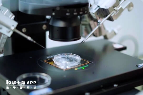 试管弄错移植胚胎的可能性极低