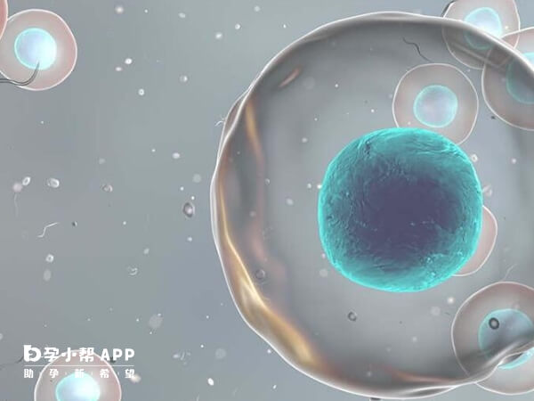 试管婴儿CET的医学含义是冷冻胚胎移植