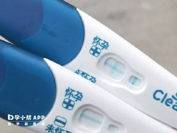 可丽蓝加号代表怀孕