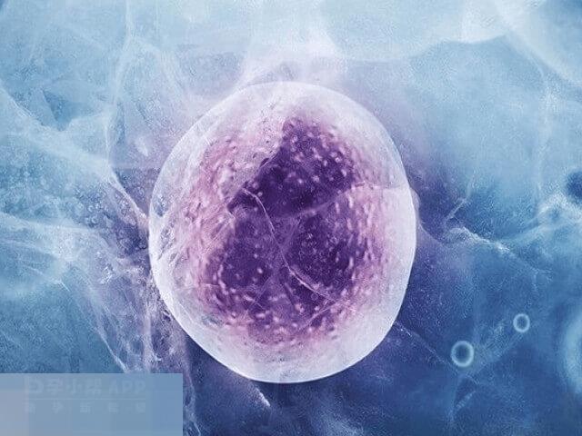 基因检测是冷冻的重要理由