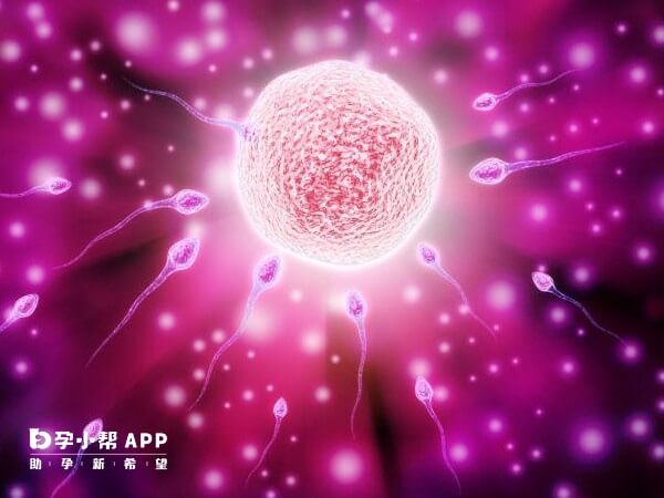 耳鸣与胚胎是否着床成功并无直接关联