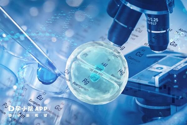 养囊是一个升级打怪的过程