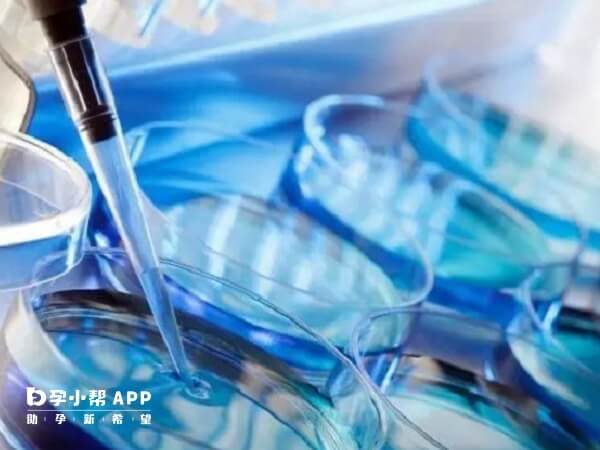 尖锐湿疹主要是人乳头瘤病毒感染引起