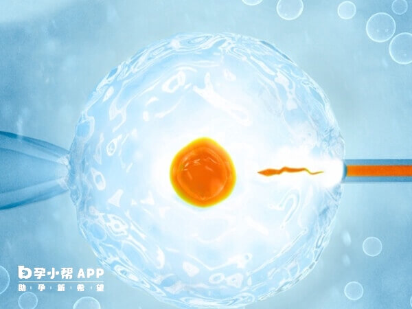 试管婴儿长方案的成功率受多种因素影响