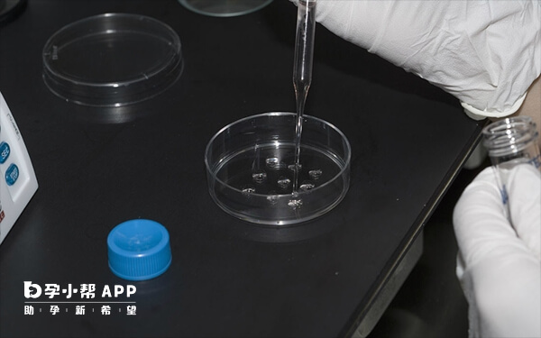 取卵后卵泡冲洗主要用于提高卵子回收率