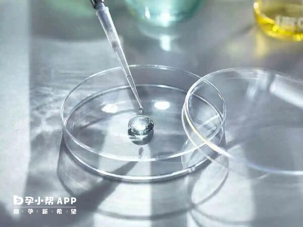 les试管婴儿费用约20万元