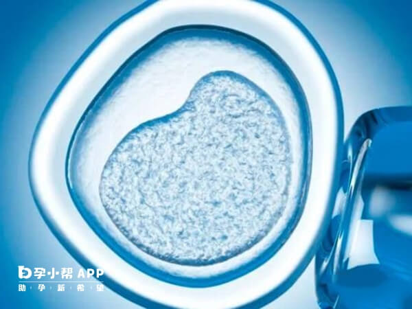 生长激素通过激活卵泡内的IGF-1受体