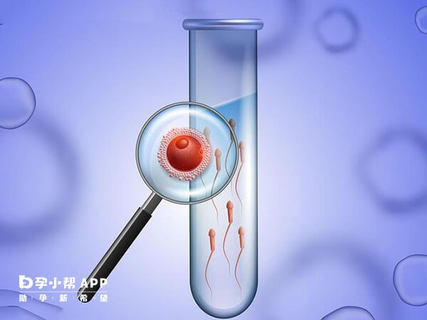 选择试管婴儿的夫妻往往年龄较大