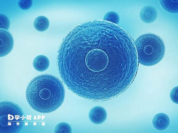 糖尿病人做试管婴儿费用与其他患者基本一致