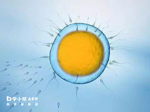 促排第六天卵泡大小在6-8毫米左右是正常的