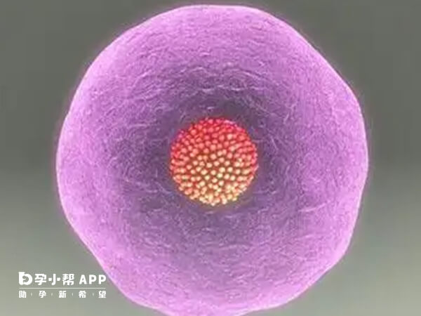 胰岛素抵抗是导致试管移植失败的常见原因