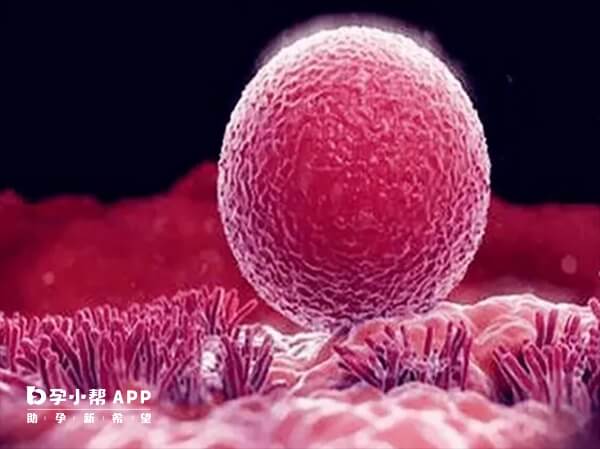 导致试管婴儿畸形的原因较多