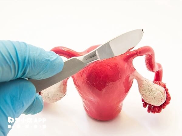 女性雌激素分泌主要源于卵巢和子宫