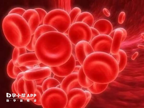 试管移植后血栓高会增加胎停风险