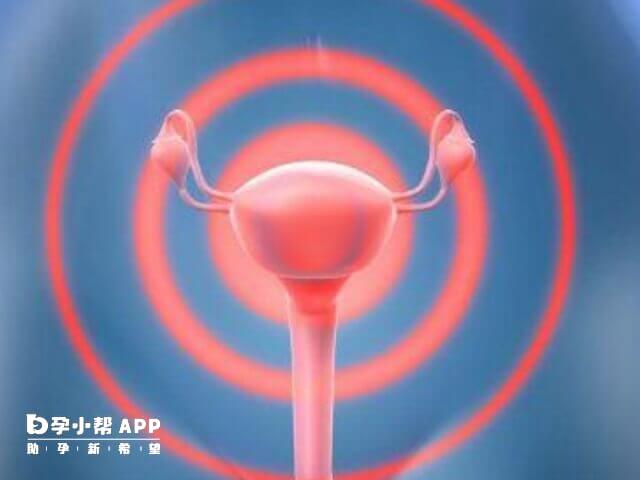 经腹部切除具有广泛性