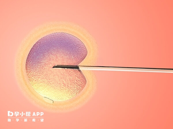 胚胎移植第15天出血是能够保胎的
