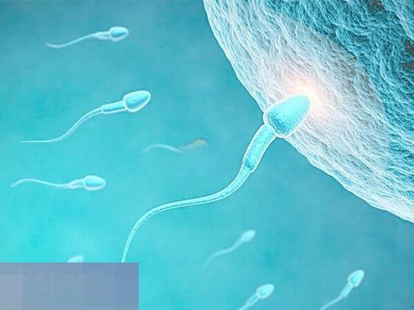 炖汤时加些鱼肉更营养