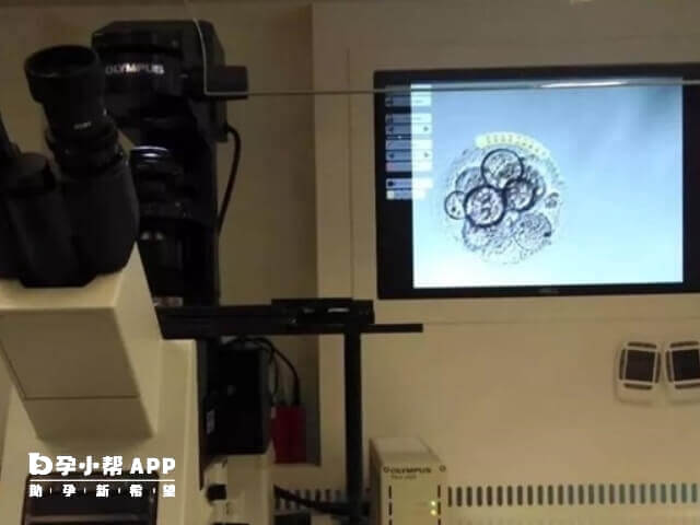 囊胚辅助孵化技术可提高胚胎着床率