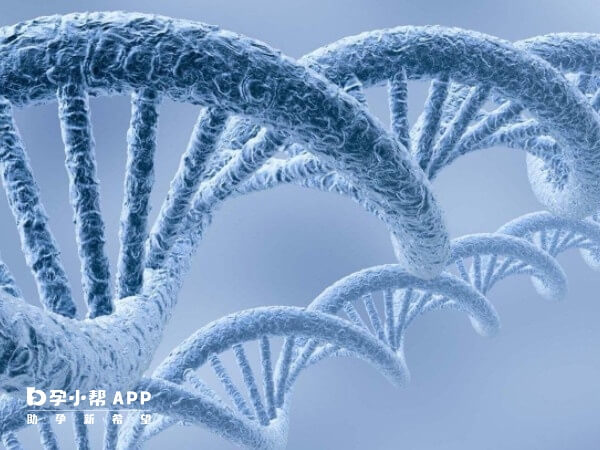 人属于恒温动物