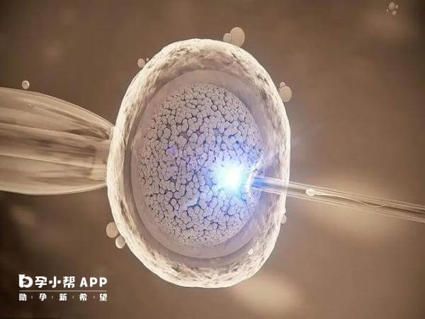 补救ICSI的主要目的是提高受精率