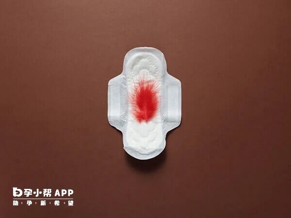 月经后就可以监测卵泡了