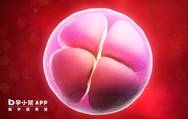 试管一个四级胚胎成功率不高