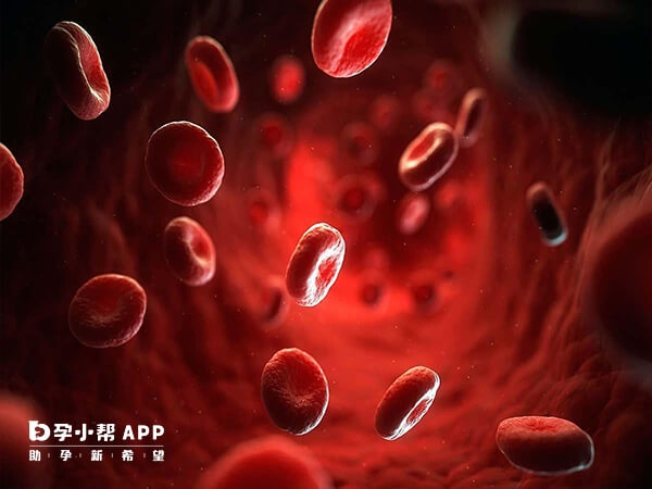血小板聚集率高对身体影响大