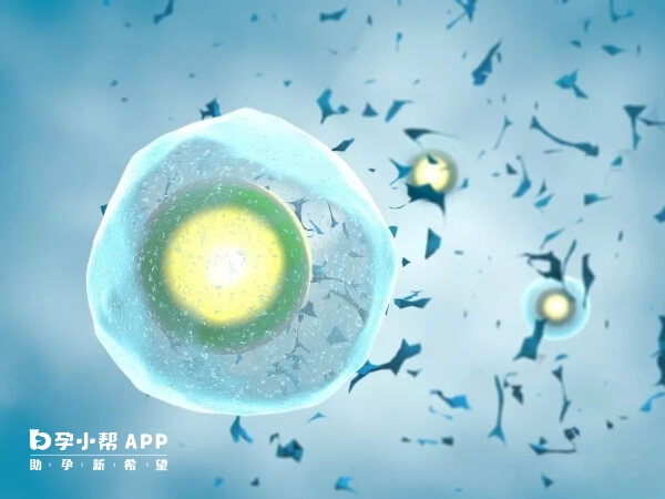 玻璃化冷冻技术将复苏存活率提升至90%