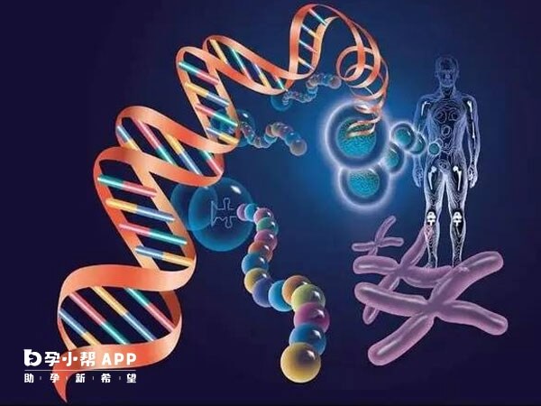 大多数神经母细胞瘤是不会遗传的