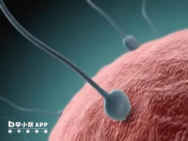 女方和男方的身体评估是辅助生殖成功的基础