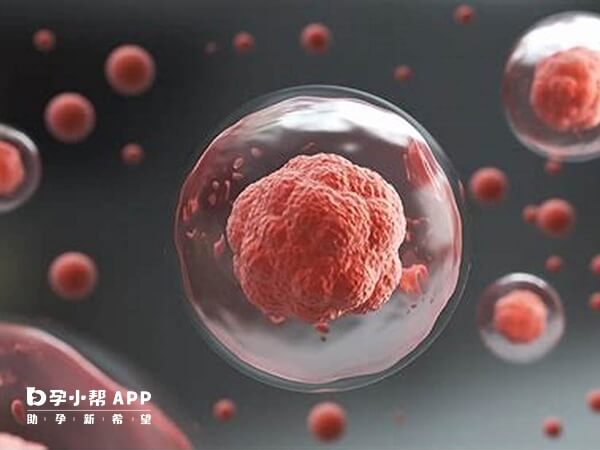 试管正规医疗机构有着严格的管理制度