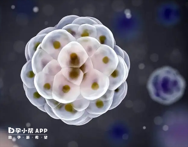 试管移植前出现急性胃病可能增加移植失败风险