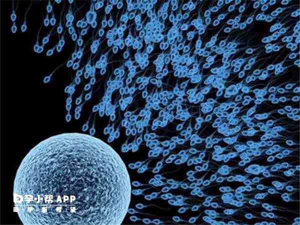 先天性心脏病的发生因素较多