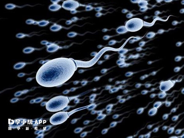 遗精是男性生理现象