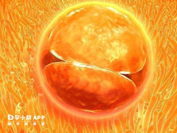 试管移植后患者身体较为敏感