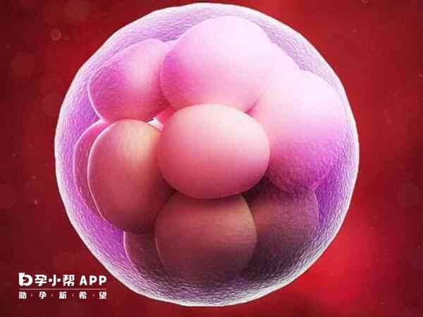 试管移植后发烧可能由多种原因引起