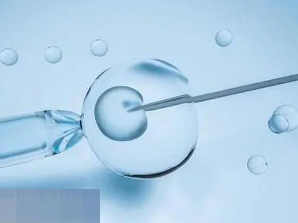 促排能促进卵泡发育