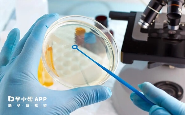 试管婴儿建议移植单胎