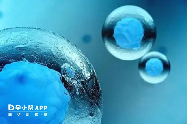 单囊胚移植可降低多胎风险