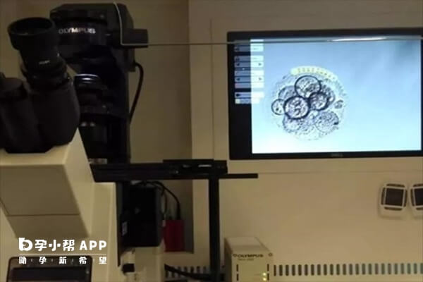 四级胚胎养囊成功的几率通常较低