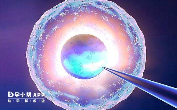 多囊患者卵巢对促排药物敏感度高