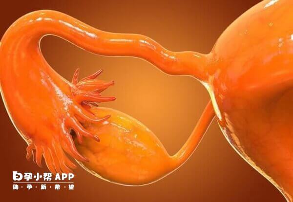 女性缺乏雌性激素会导致生殖器官萎缩