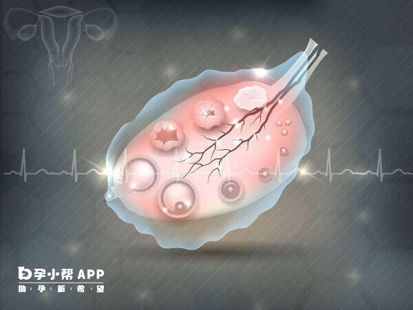 丽申宝注射时间与卵泡发育情况有关